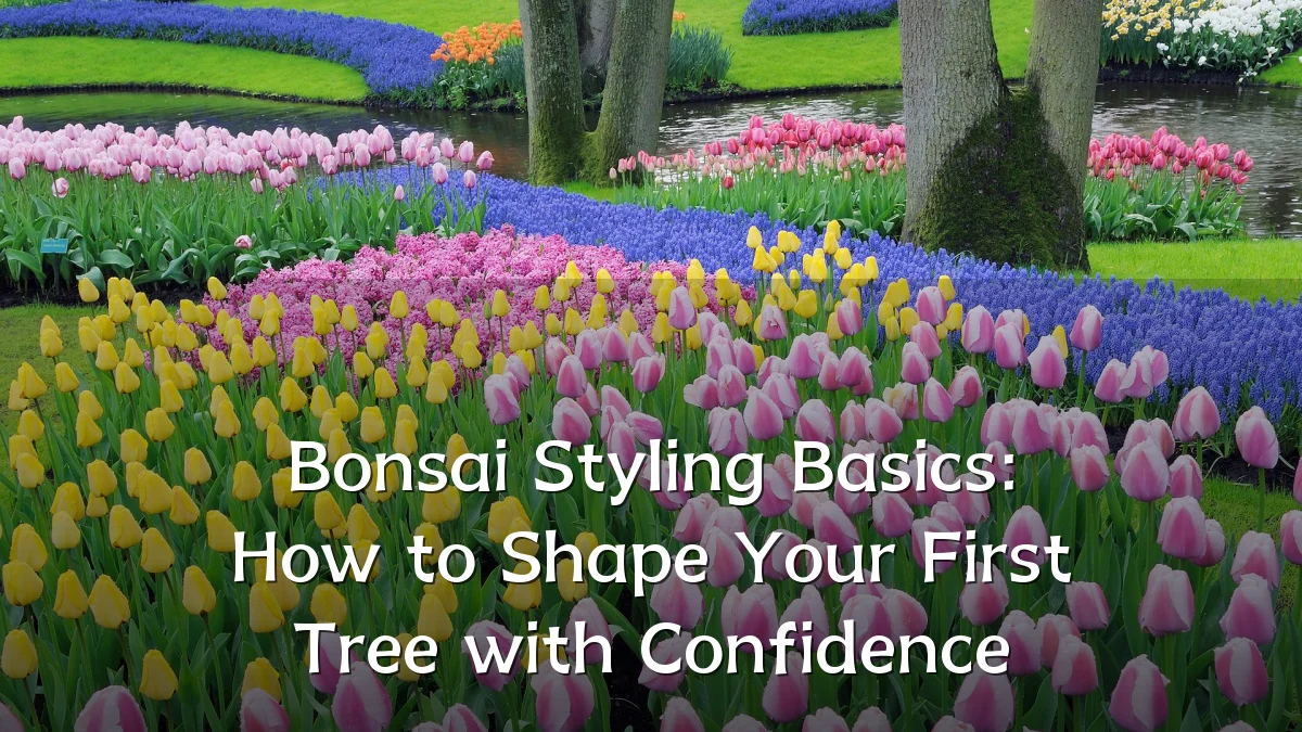 Bonsai Styling Basics: How to Shape Your First Tree with Confidence