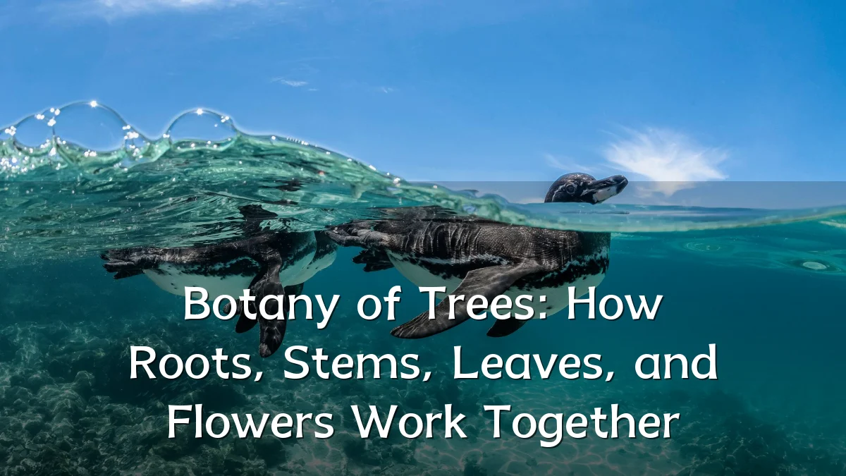 Botany of Trees: How Roots, Stems, Leaves, and Flowers Work Together