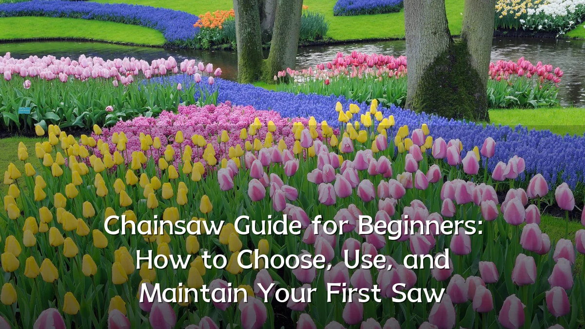 Chainsaw Guide for Beginners: How to Choose, Use, and Maintain Your First Saw