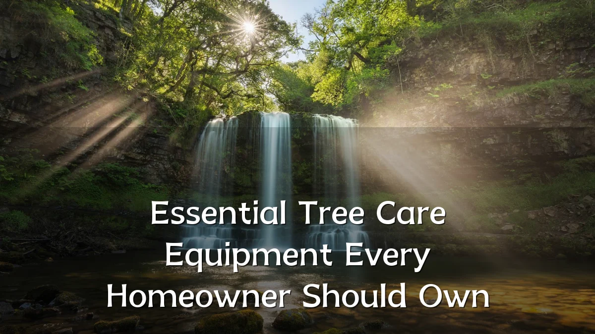 Essential Tree Care Equipment Every Homeowner Should Own