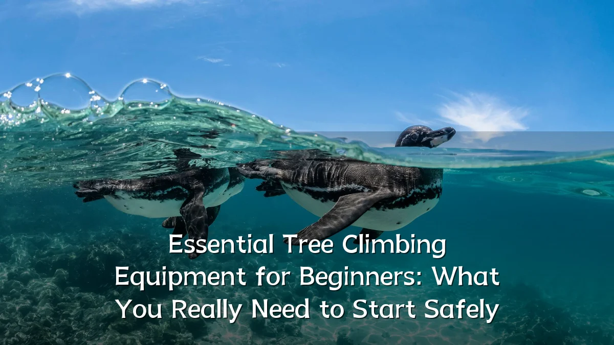 Essential Tree Climbing Equipment for Beginners: What You Really Need to Start Safely