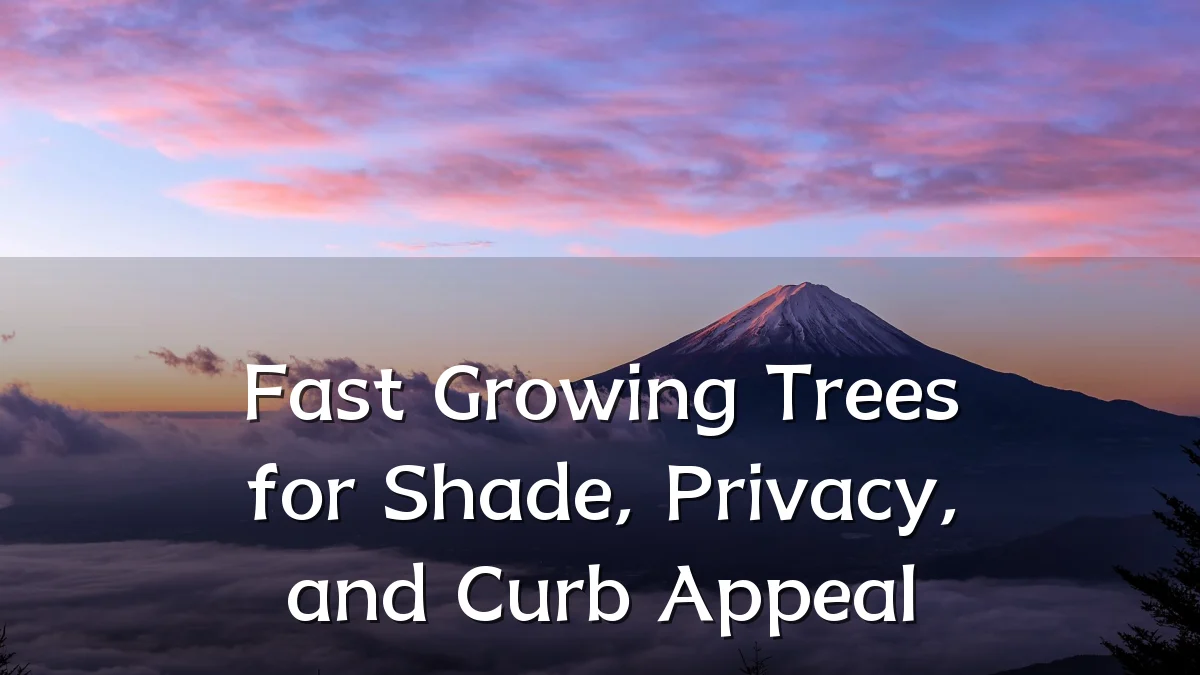 Fast Growing Trees for Shade, Privacy, and Curb Appeal