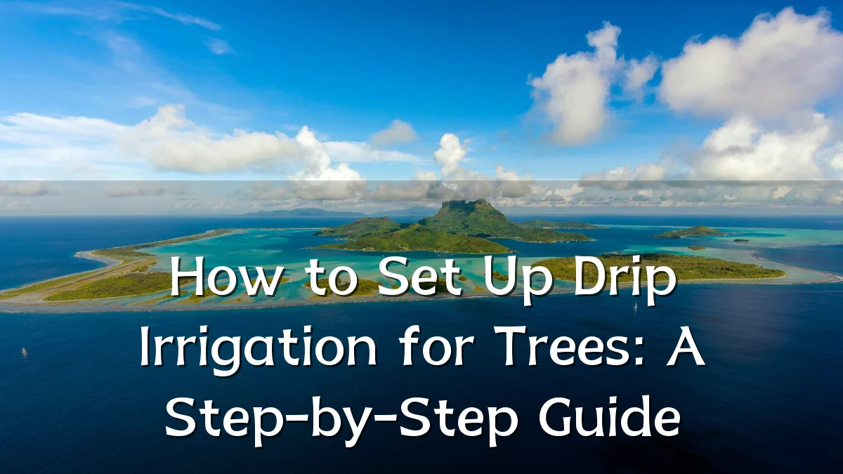 How to Set Up Drip Irrigation for Trees: A Step-by-Step Guide
