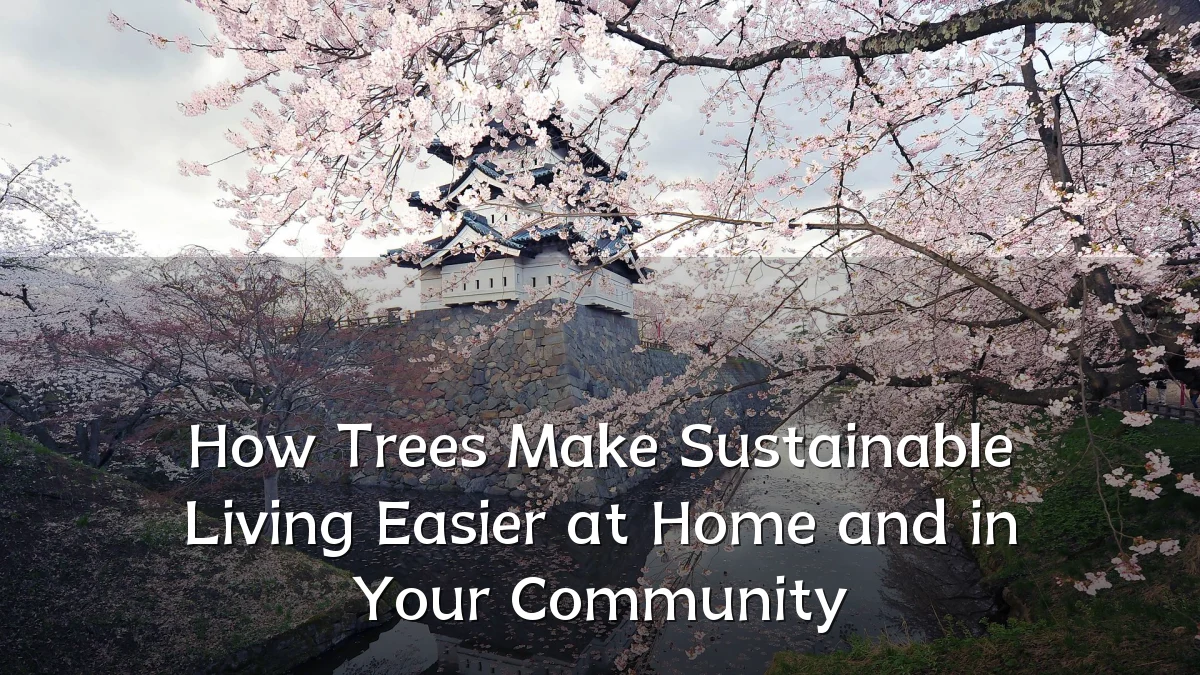 How Trees Make Sustainable Living Easier at Home and in Your Community