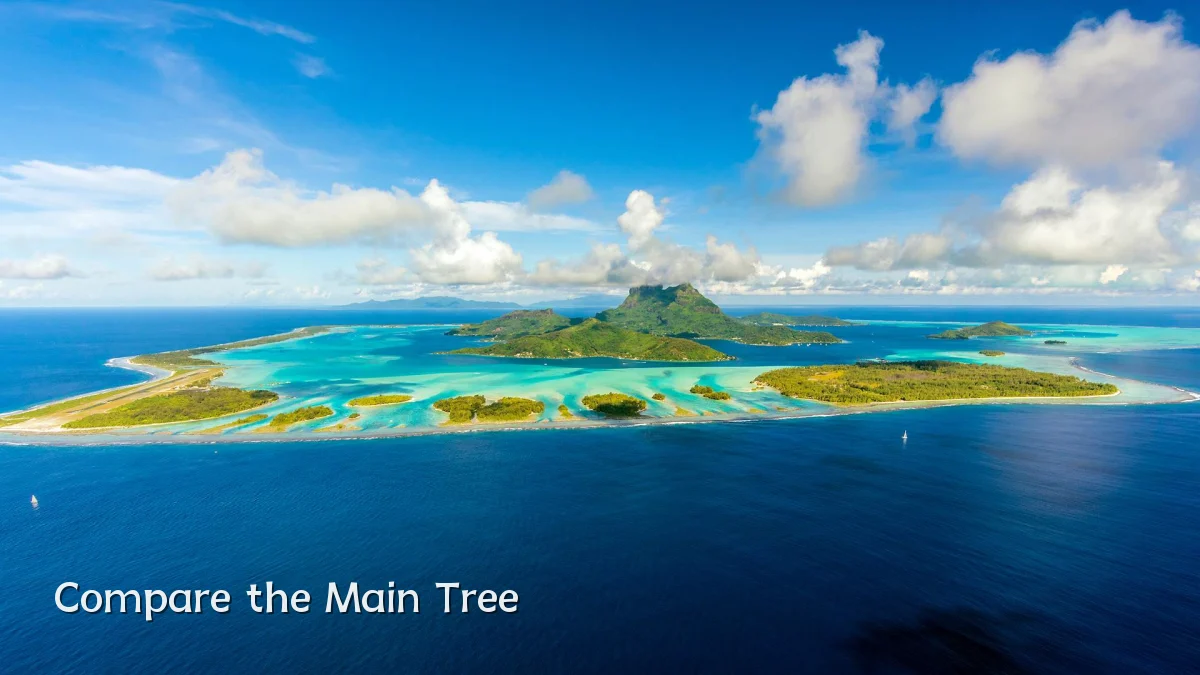 Compare the Main Tree