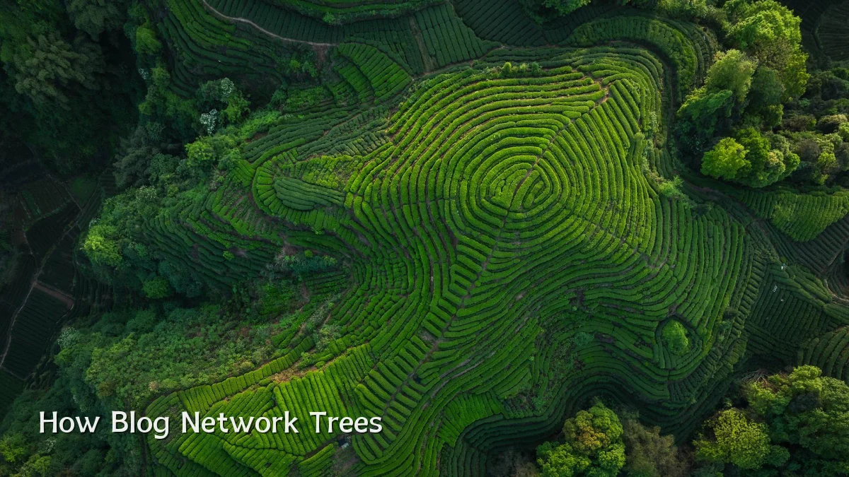How Blog Network Trees