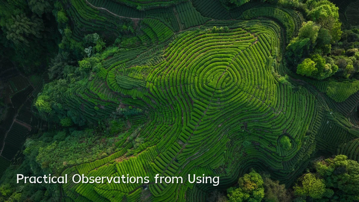 Practical Observations from Using