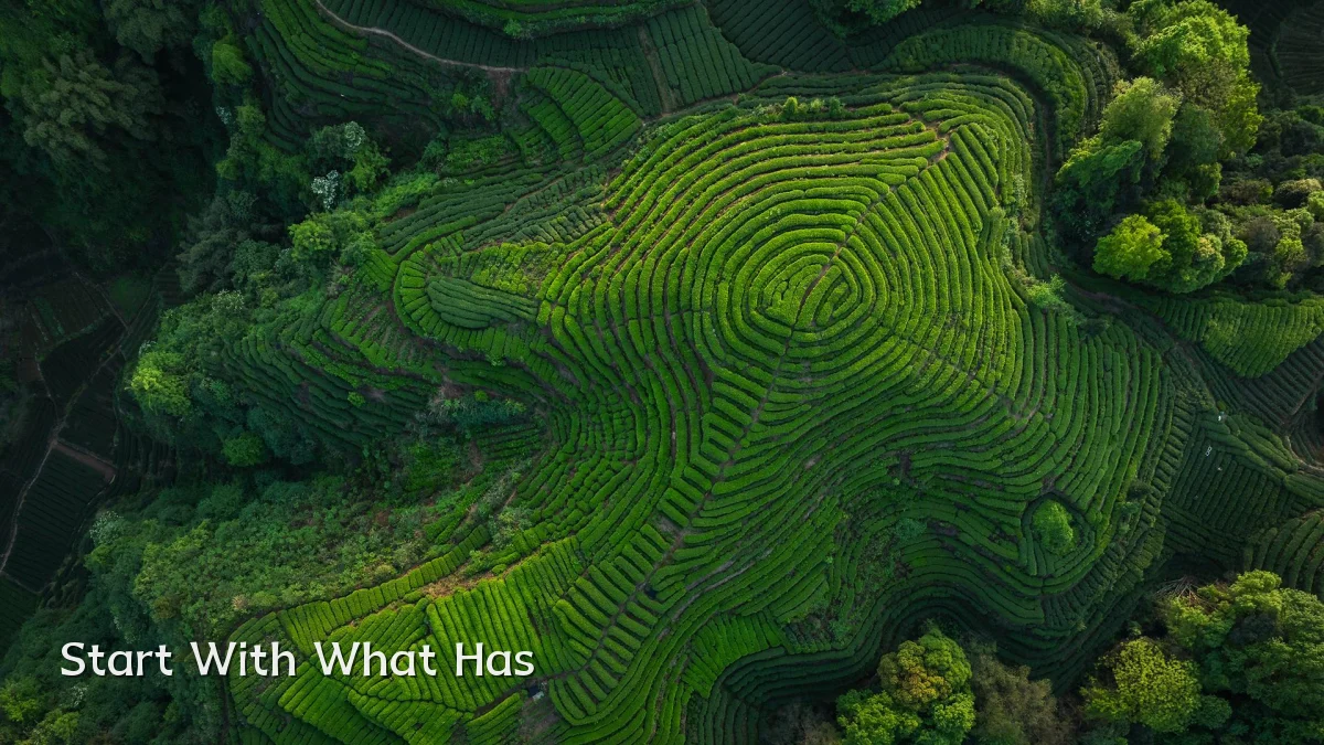 Start With What Has