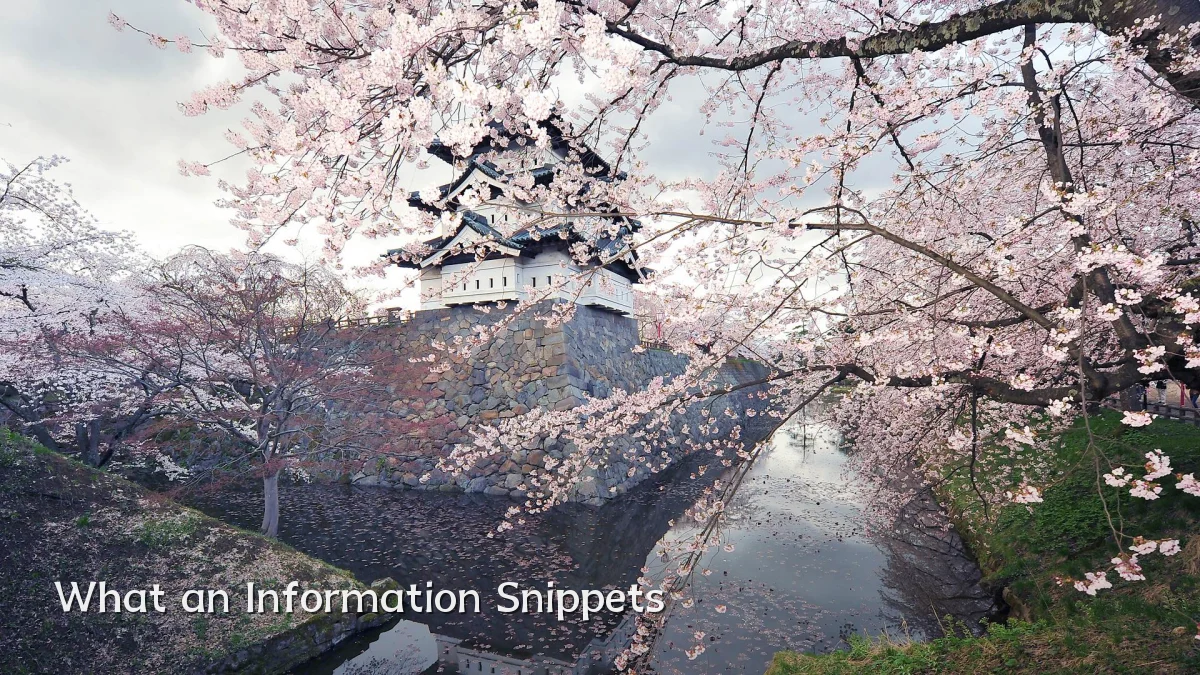 What an Information Snippets