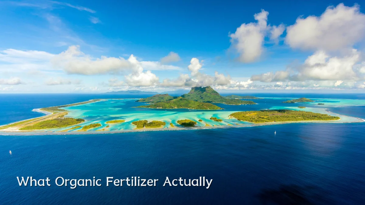 What Organic Fertilizer Actually