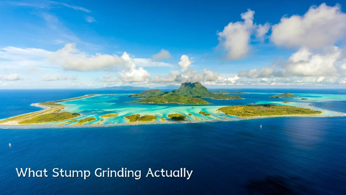 What Stump Grinding Actually
