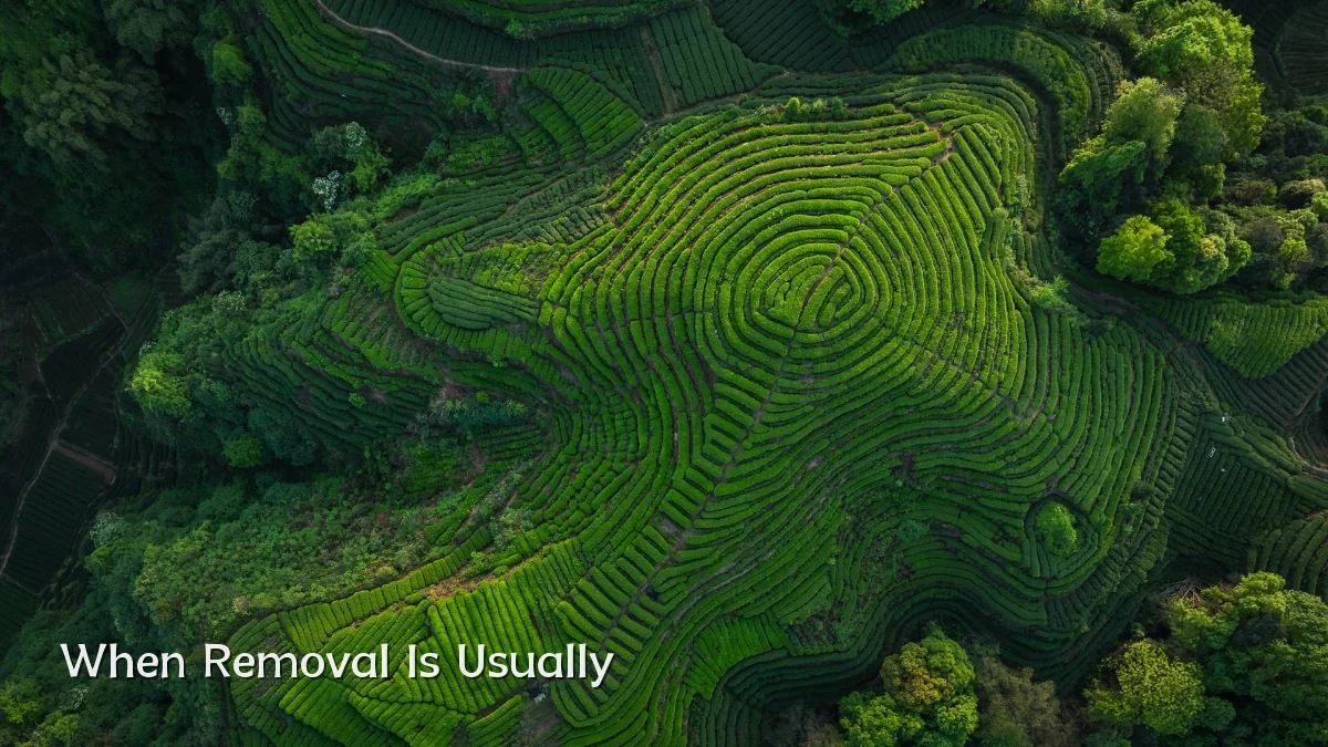 When Removal Is Usually