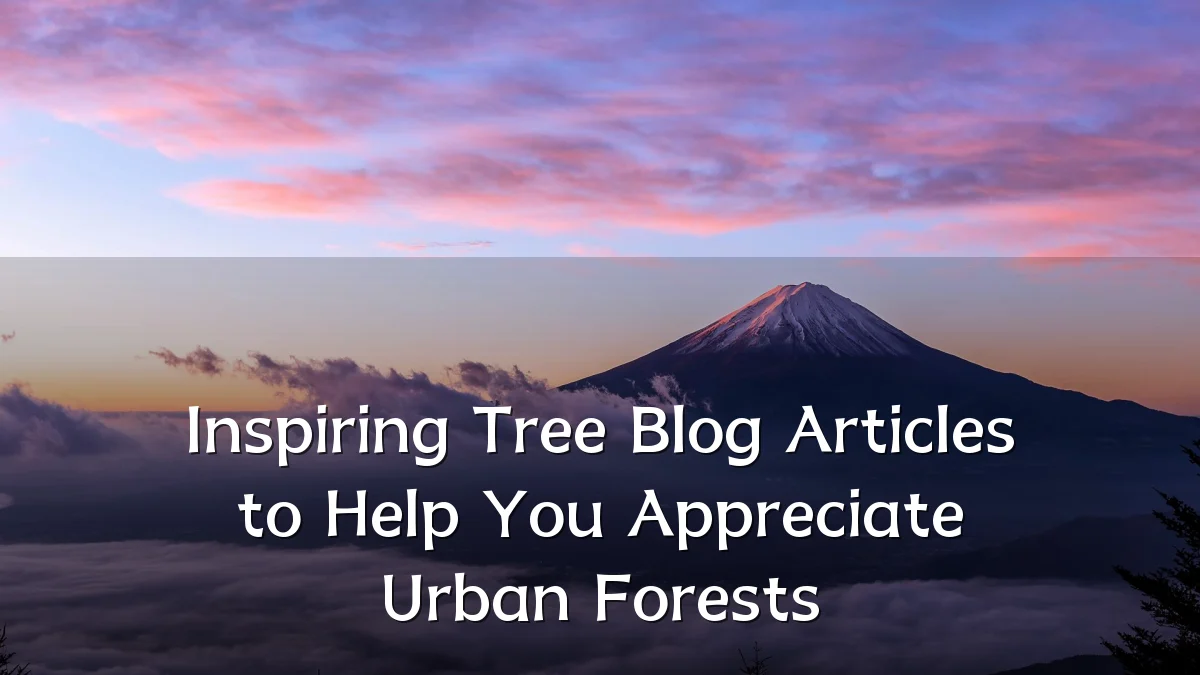 Inspiring Tree Blog Articles to Help You Appreciate Urban Forests