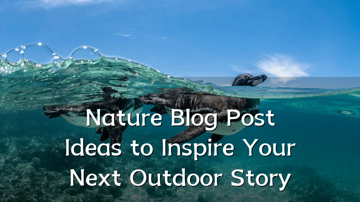 Nature Blog Post Ideas to Inspire Your Next Outdoor Story