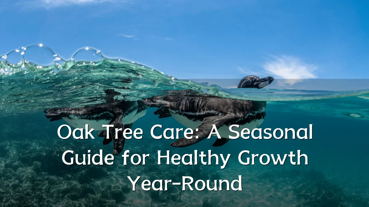 Oak Tree Care: A Seasonal Guide for Healthy Growth Year-Round