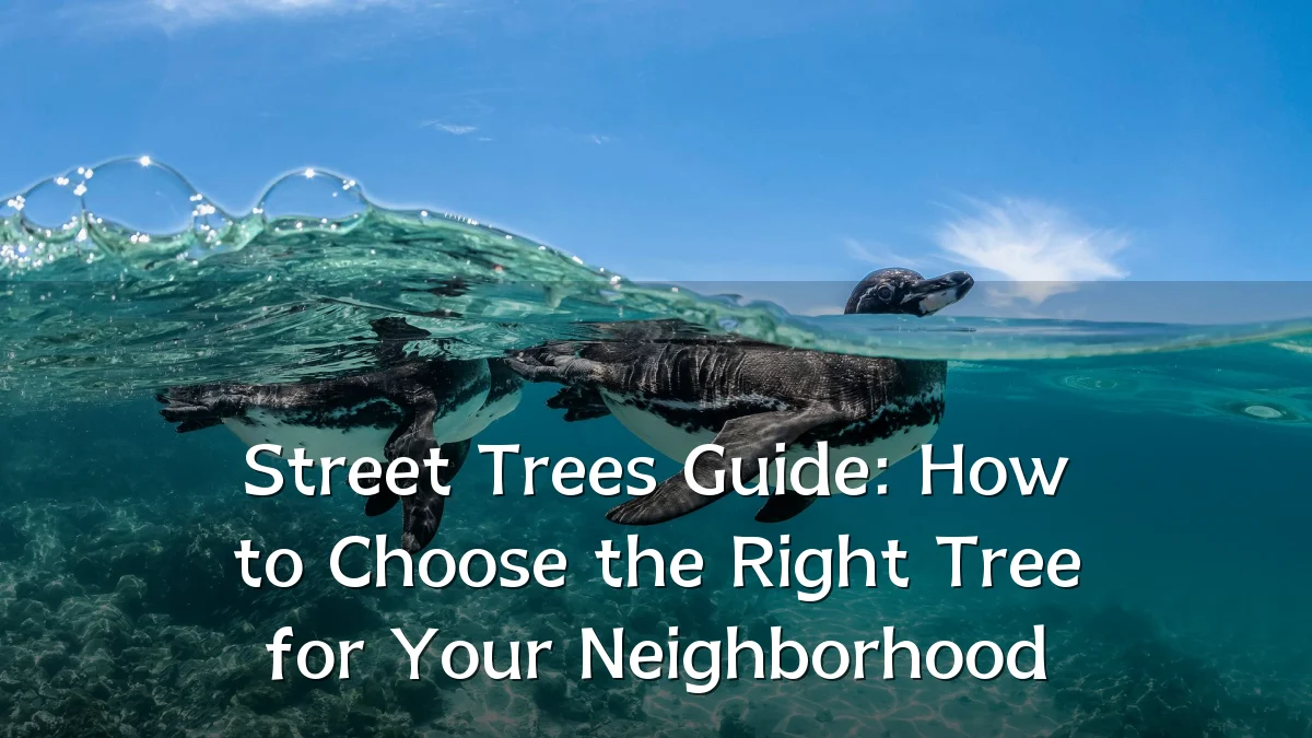 Street Trees Guide: How to Choose the Right Tree for Your Neighborhood