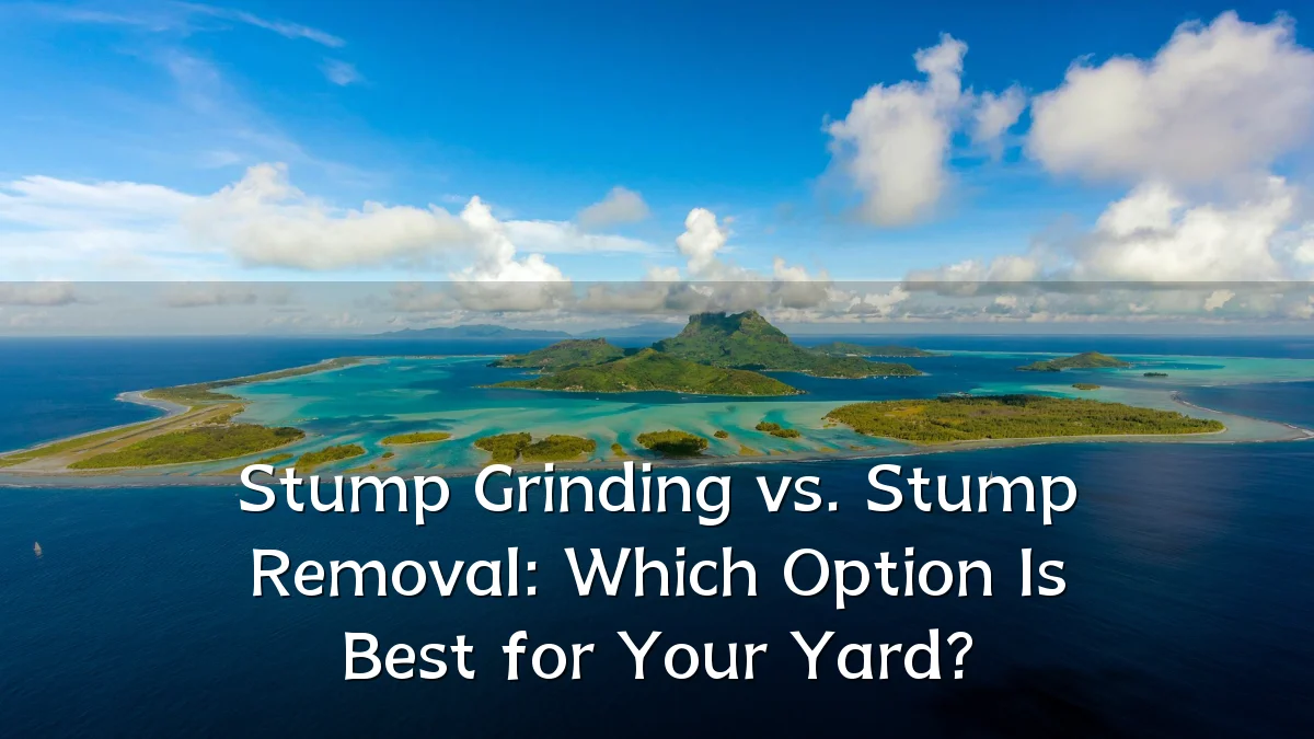 Stump Grinding vs. Stump Removal: Which Option Is Best for Your Yard?