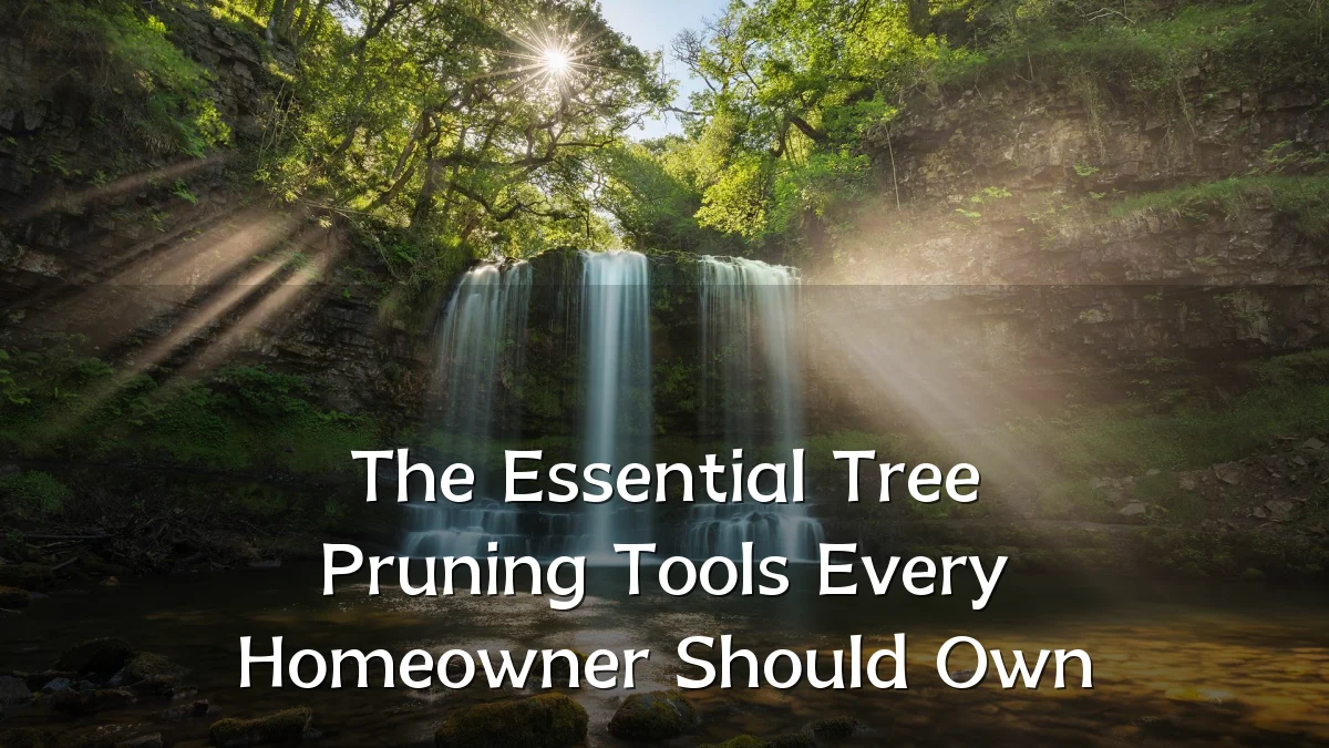 The Essential Tree Pruning Tools Every Homeowner Should Own