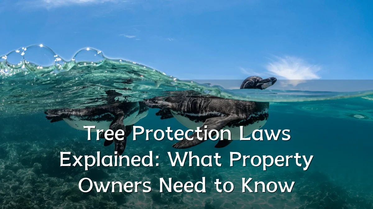 Tree Protection Laws Explained: What Property Owners Need to Know