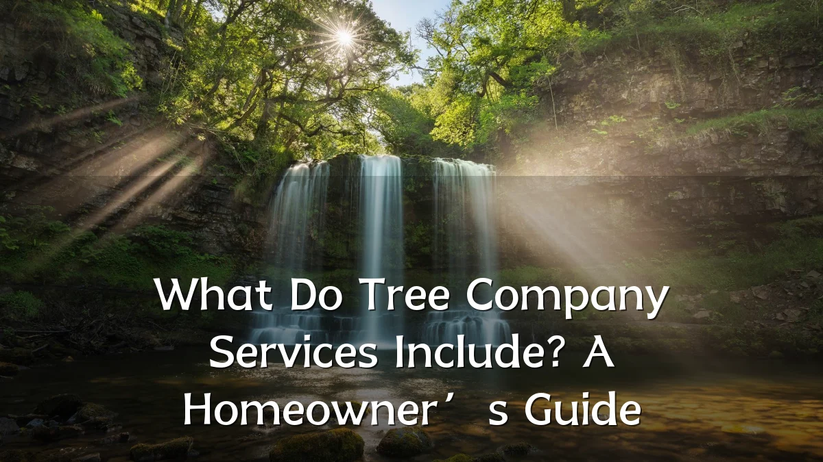 What Do Tree Company Services Include? A Homeowner’s Guide