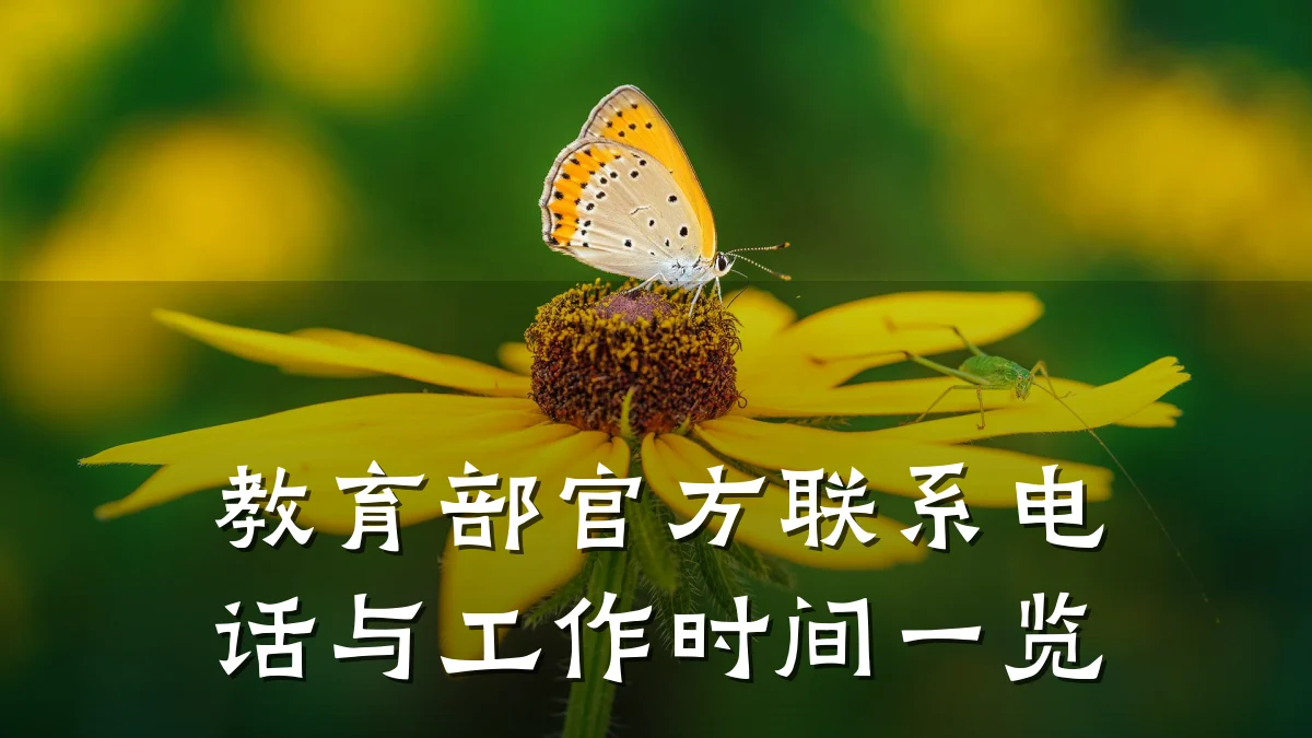 教育部官方联系电话与工作时间一览