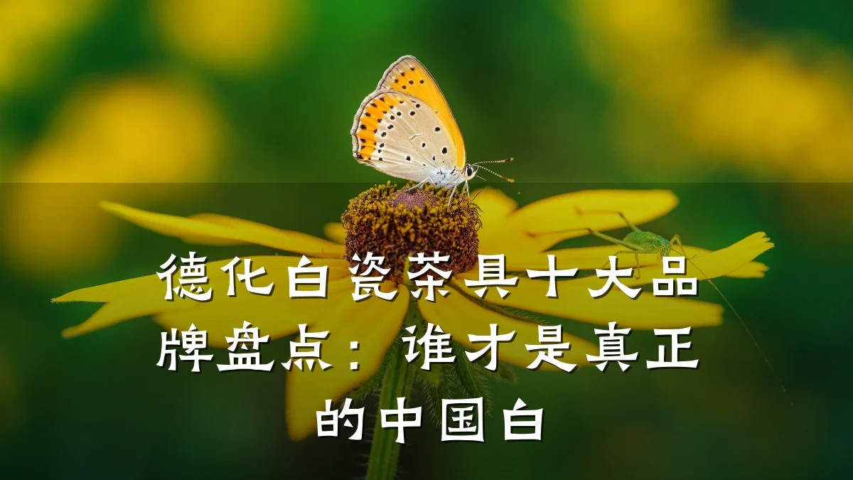 德化白瓷茶具十大品牌盘点:谁才是真正的中国白